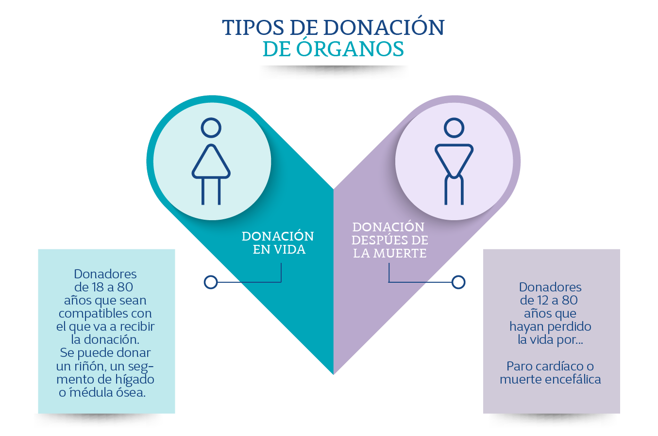 Infografa tipo de trasplantes